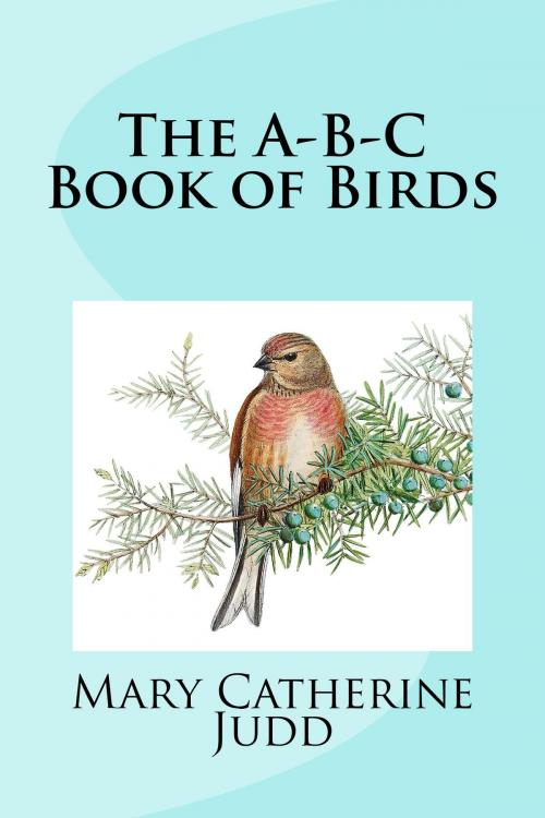 Cover of the book The A-B-C Book of Birds (Illustrated Edition) by Mary Catherine Judd, Steve Gabany