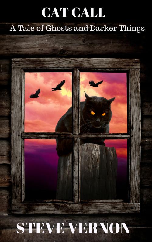 Cover of the book Cat Call: A Tale of Ghosts and Darker Things by Steve Vernon, Stark Raven Press