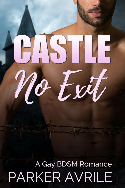 Cover of the book Castle No Exit by Parker Avrile, Paris April Press