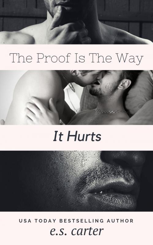 Cover of the book The Proof Is The Way It Hurts by E.S. Carter, ES Carter Author