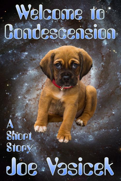 Cover of the book Welcome to Condescension by Joe Vasicek, Joe Vasicek