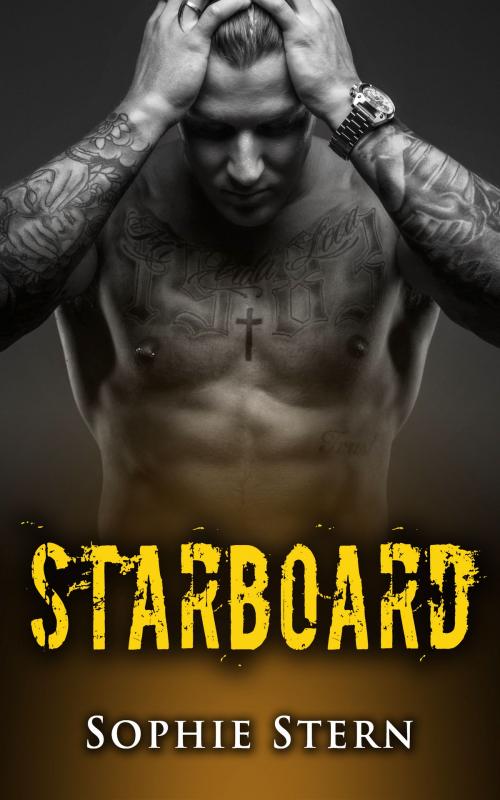 Cover of the book Starboard by Sophie Stern, Sophie Stern