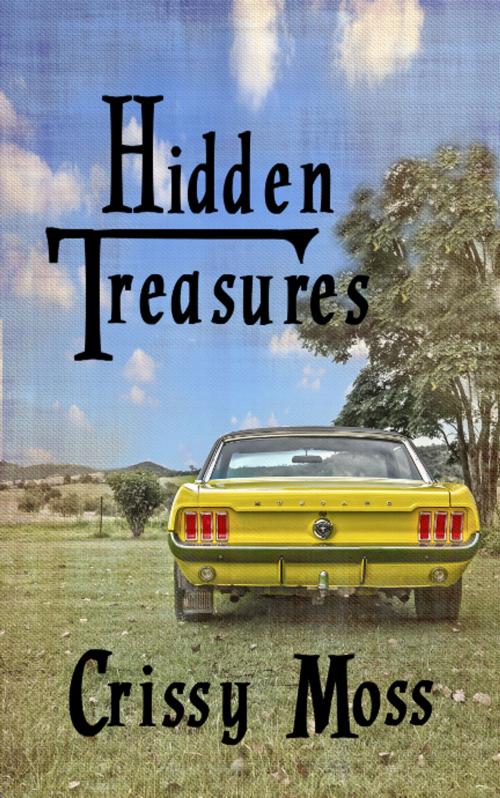 Cover of the book Hidden Treasures by Crissy Moss, Crissy Moss