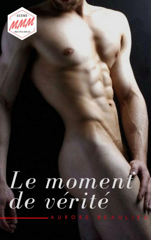 Cover of the book Le moment de vérité by Aurore Beaulieu, AB Edition