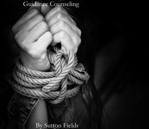 Cover of the book Guidance Counseling by Sutton Fields, Sutton Fields