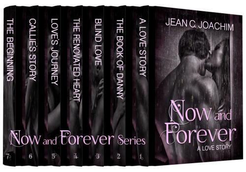 Cover of the book Now and Forever, the series by Jean Joachim, Moonlight Books