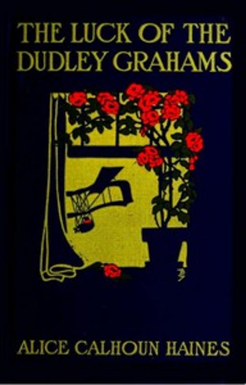 Cover of the book The Luck of the Dudley Grahams by Alice Calhoun Haines, Green Bird Press