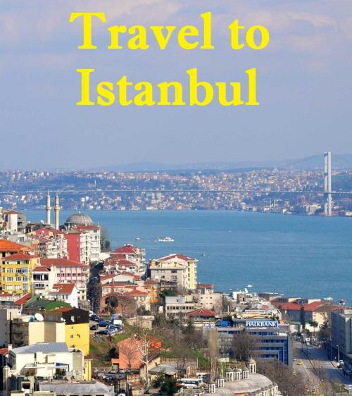 Cover of the book Travel to Istanbul by Keeran Jacobson, Global-Vankley Publishing