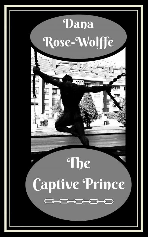 Cover of the book The Captive Prince by Dana Rose-Wolffe, Excessica