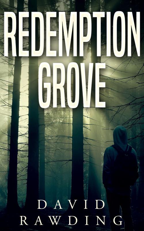 Cover of the book Redemption Grove by David Rawding, Red Adept Publishing