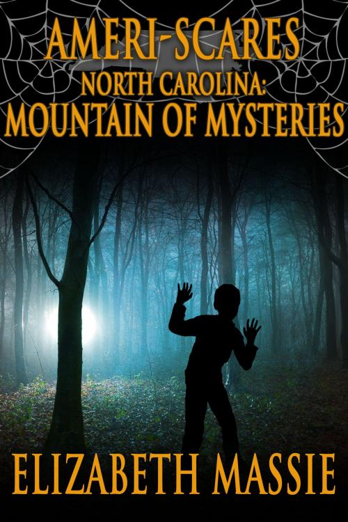 Cover of the book Ameri-Scares: North Carolina: Mountain of Mysteries by Elizabeth Massie, Crossroad Press