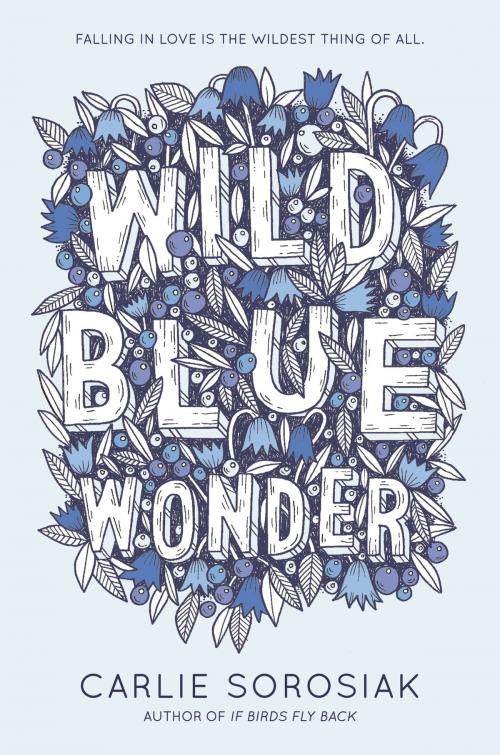 Cover of the book Wild Blue Wonder by Carlie Sorosiak, HarperTeen