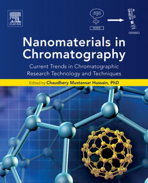 Cover of the book Nanomaterials in Chromatography by , Elsevier Science