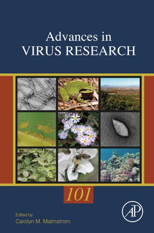 Cover of the book Environmental Virology and Virus Ecology by Carolyn M. Malmstrom, Elsevier Science