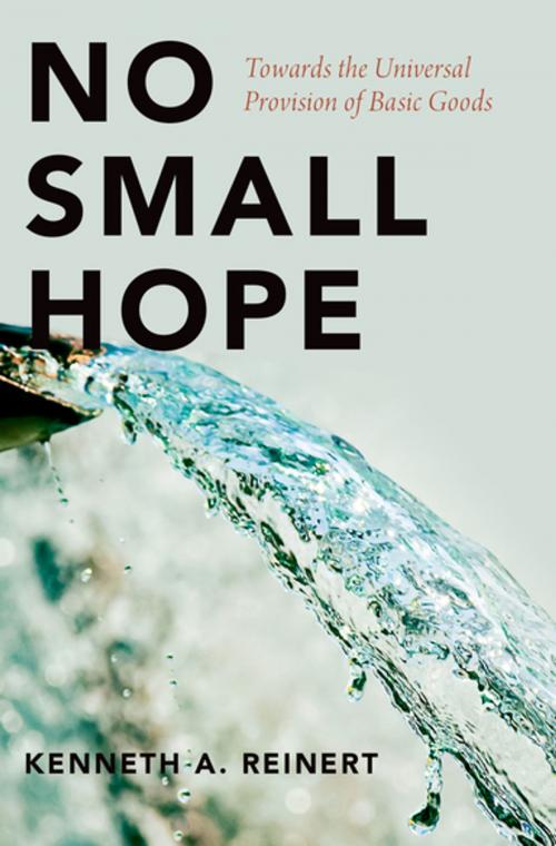 Cover of the book No Small Hope by Kenneth A. Reinert, Oxford University Press