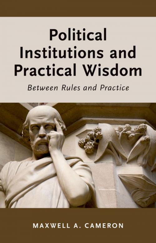 Cover of the book Political Institutions and Practical Wisdom by Maxwell A. Cameron, Oxford University Press