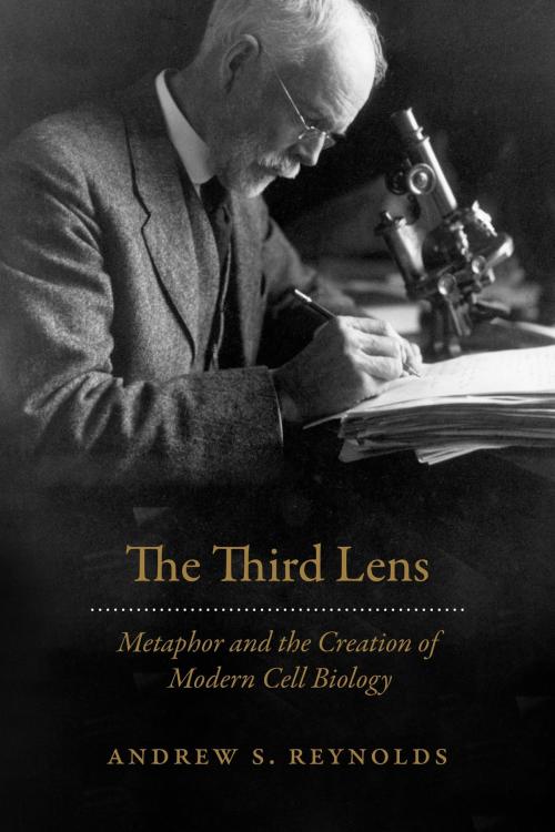 Cover of the book The Third Lens by Andrew S. Reynolds, University of Chicago Press
