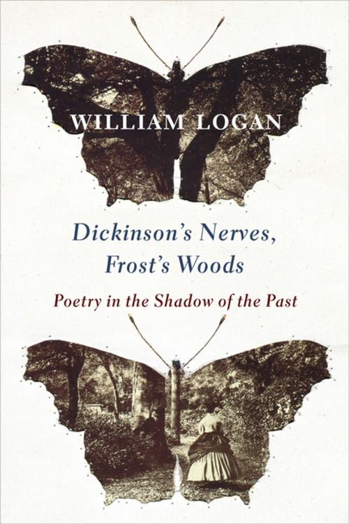 Cover of the book Dickinson's Nerves, Frost's Woods by William Logan, Columbia University Press