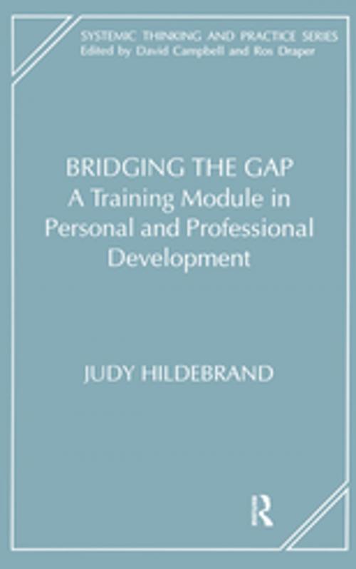 Cover of the book Bridging the Gap by Judy Hildebrand, Taylor and Francis