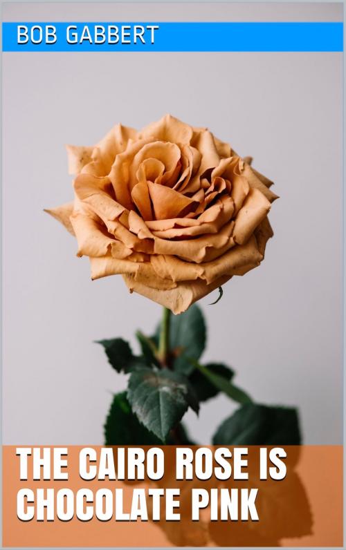 Cover of the book The Cairo Rose is Chocolate Pink by Bob Gabbert, Bob Gabbert