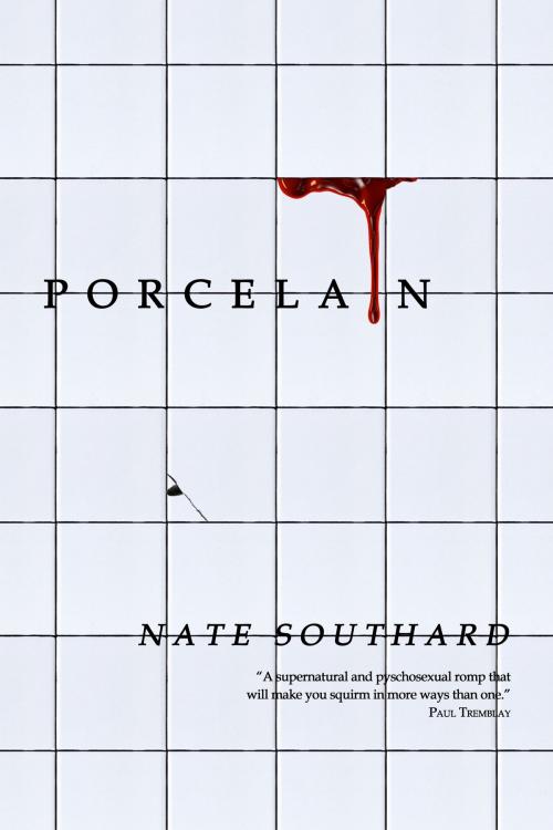 Cover of the book Porcelain by Nate Southard, Lethe Press