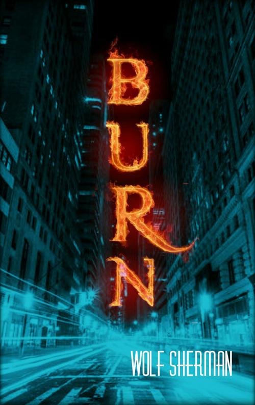 Cover of the book Burn by Wolf Sherman, Wolf Sherman
