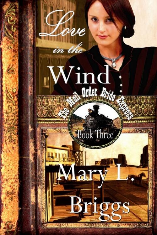 Cover of the book Mail Order Bride: Love in the Wind by Mary L. Briggs, Mary L. Briggs
