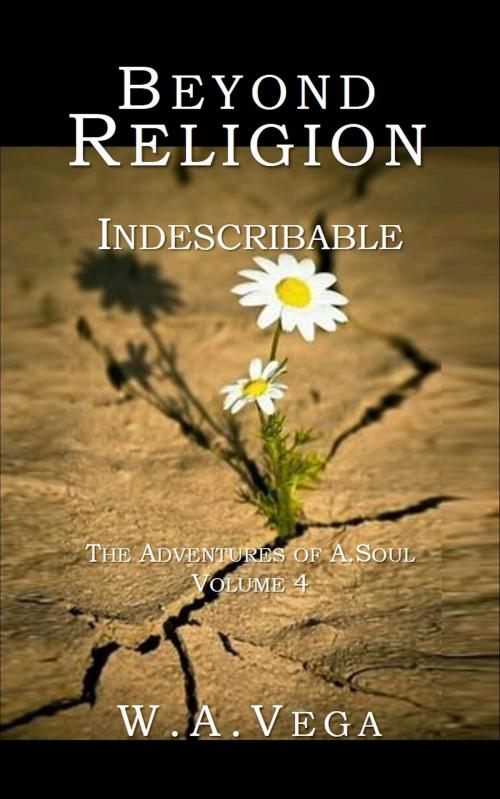 Cover of the book Beyond Religion: Indescribable by W. A. Vega, Global Publishing Group LLC
