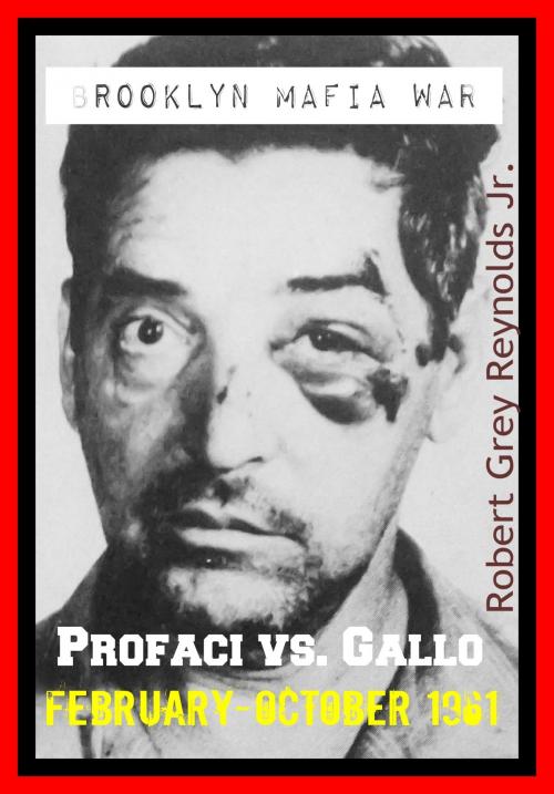 Cover of the book Brooklyn Mafia War Profaci Vs. Gallo February-October 1961 by Robert Grey Reynolds Jr, Robert Grey Reynolds, Jr