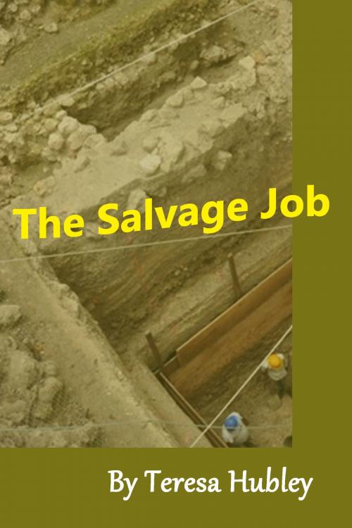 Cover of the book The Salvage Job by Teresa Hubley, Teresa Hubley