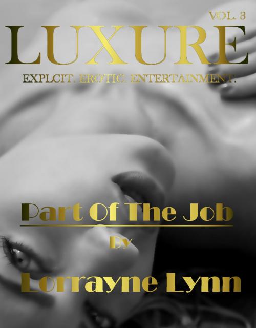 Cover of the book Part Of The Job by Lorrayne Lynn, Lorrayne Lynn