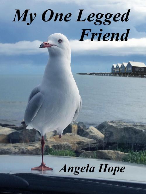 Cover of the book My One Legged Friend by Angela Hope, Angela Hope