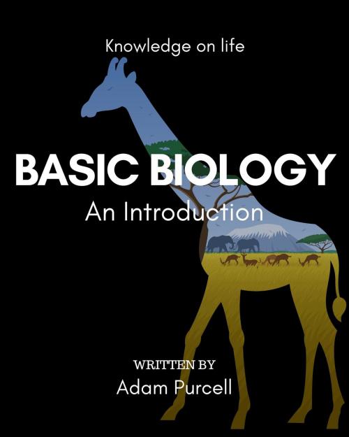 Cover of the book Basic Biology by Adam Purcell, Basic Biology Limited