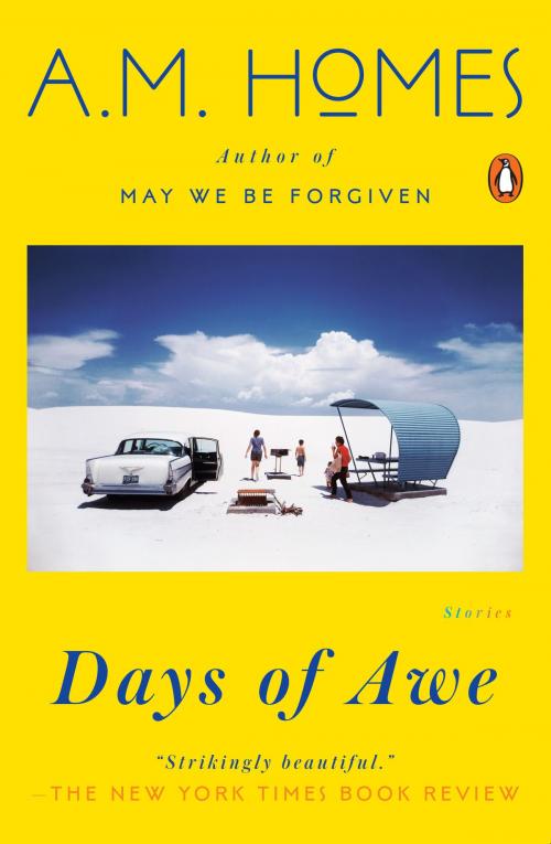 Cover of the book Days of Awe by A. M. Homes, Penguin Publishing Group