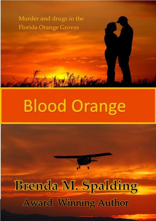Cover of the book Blood Orange by Brenda Spalding, Heritage Publishing.US