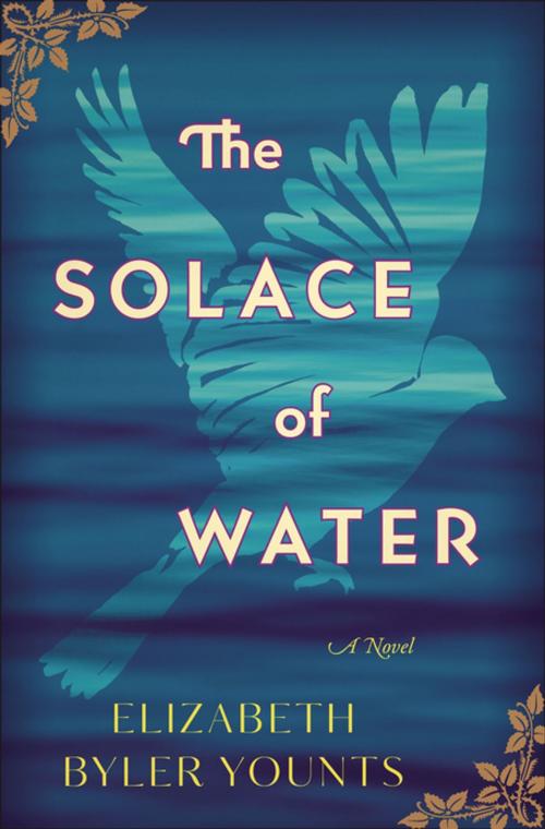 Cover of the book The Solace of Water by Elizabeth Byler Younts, Thomas Nelson