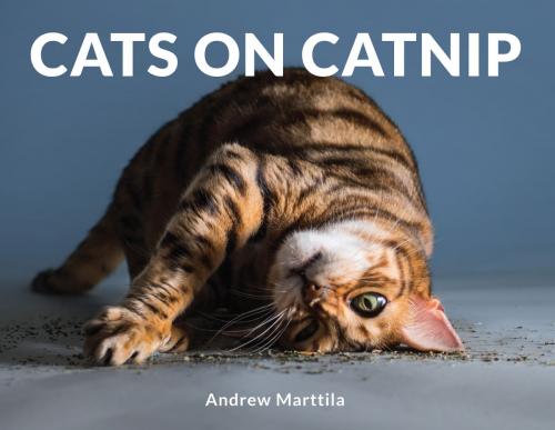 Cover of the book Cats on Catnip by Andrew Marttila, Running Press
