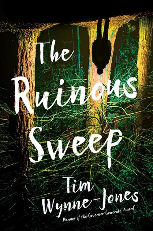 Cover of the book The Ruinous Sweep by Tim Wynne-Jones, Candlewick Press