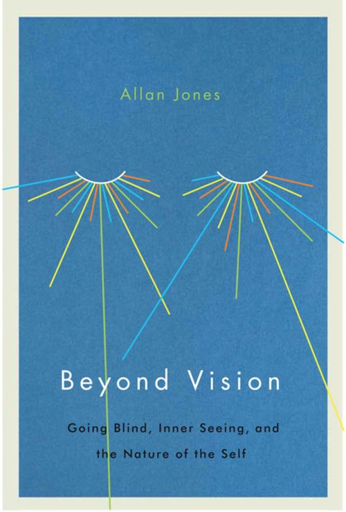 Cover of the book Beyond Vision by Allan Jones, MQUP