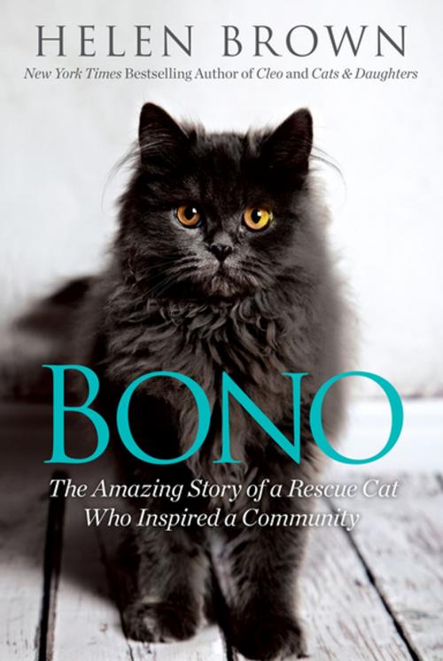 Cover of the book Bono by Helen Brown, Citadel Press
