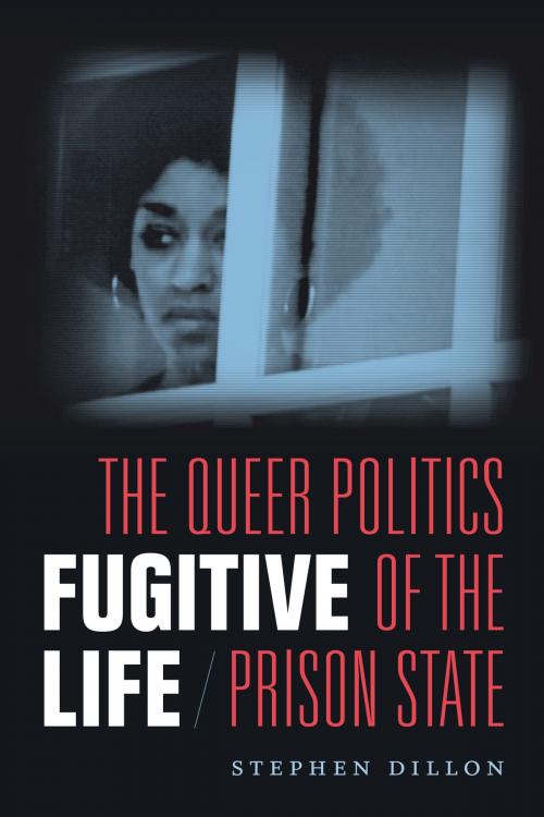 Cover of the book Fugitive Life by Stephen Dillon, Duke University Press