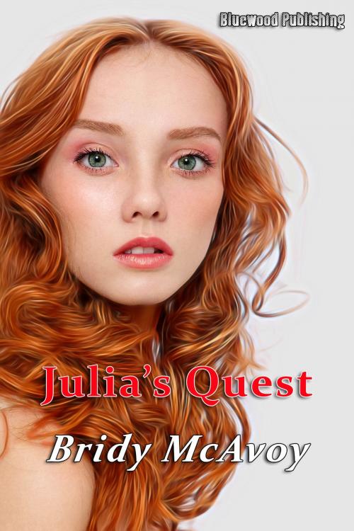 Cover of the book Julia's Quest by Bridy McAvoy, Bluewood Publishing