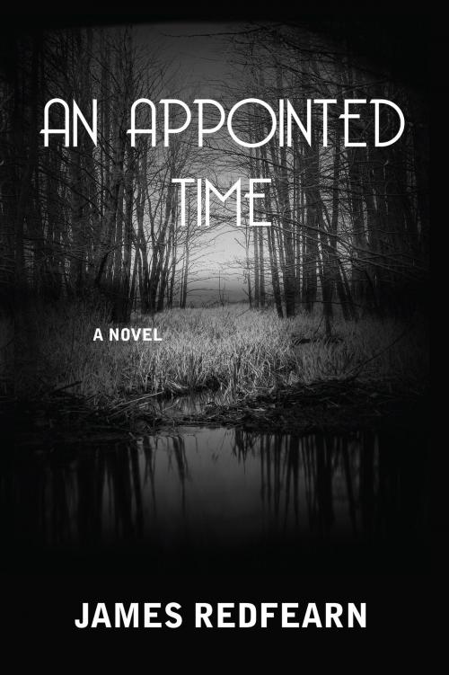 Cover of the book An Appointed Time by James Redfearn, Olde Stoney Brook