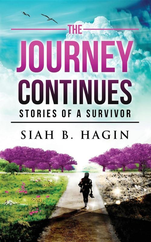 Cover of the book The Journey Continues by Siah B. Hagin, Vine Publishing