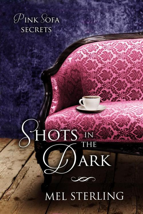 Cover of the book Shots in the Dark by Mel Sterling, Mel Sterling