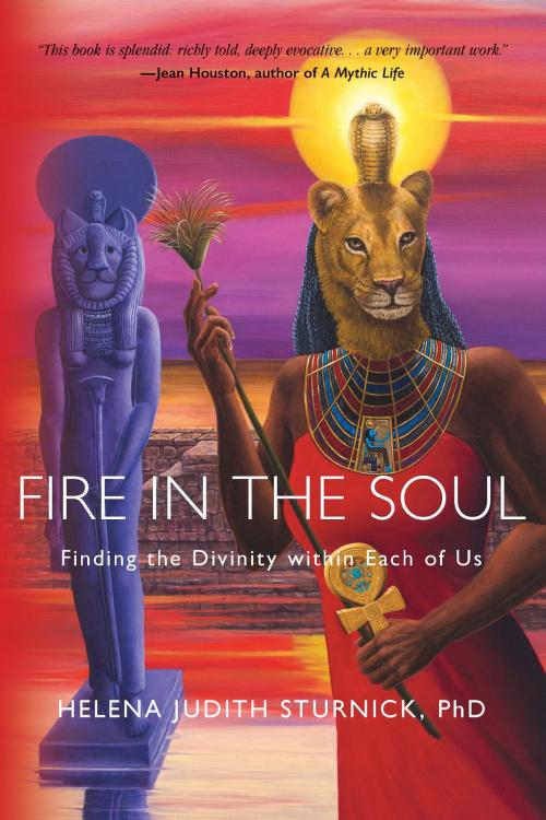 Cover of the book Fire in the Soul by Helena Judith Sturnick, Sturnick and Associates Coaching & Consulting