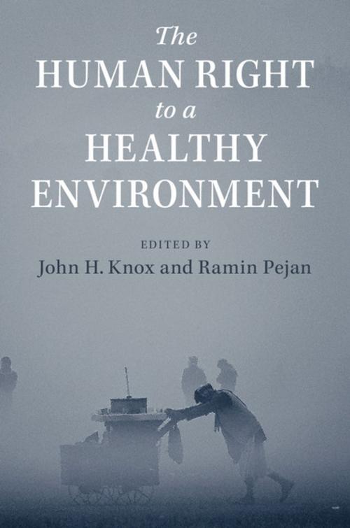 Cover of the book The Human Right to a Healthy Environment by , Cambridge University Press