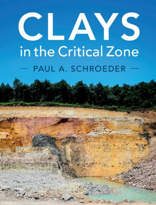 Cover of the book Clays in the Critical Zone by Paul A. Schroeder, Cambridge University Press