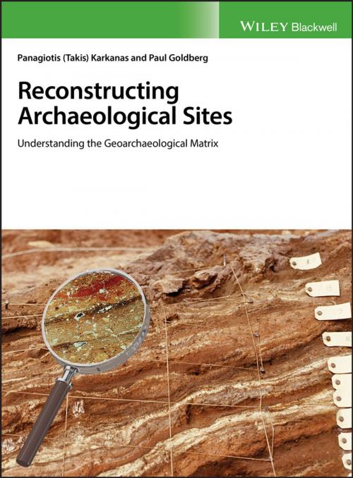Cover of the book Reconstructing Archaeological Sites by Panagiotis Karkanas, Paul Goldberg, Wiley