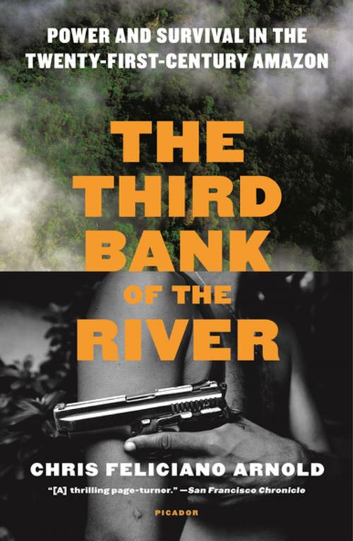 Cover of the book The Third Bank of the River by Chris Feliciano Arnold, Picador